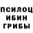 Псилоцибиновые грибы Psilocybine cubensis Manasvi N.A