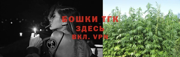 ПСИЛОЦИБИНОВЫЕ ГРИБЫ Баксан