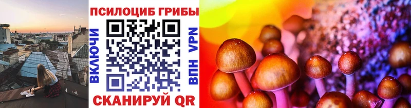 магазин    Катав-Ивановск  Псилоцибиновые грибы Magic Shrooms 